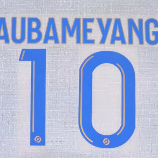 Números de serie de líneas aéreas con sello de candado de alta seguridad personalizado Sinicline